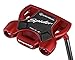 TaylorMade Golf Prior Generation (2017) Spider Putters