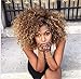 Synthetic Long Afro Kinky Curly Wigs for Black Women Blonde Mixed Brown Hair