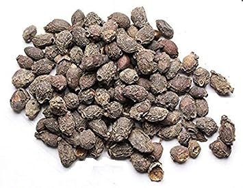 Image result for જાંબુના બીજ
