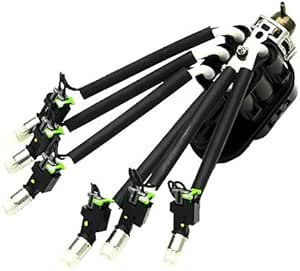 Delphi FJ10565 Fuel Injector