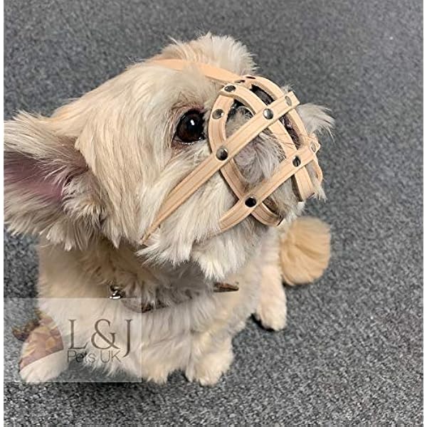 austin powers dog costume