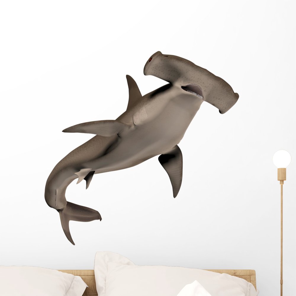 Wallmonkeys Hammerhead Shark Wall Decal Peel and Stick Graphic WM160197 (24 in H x 24 in W)