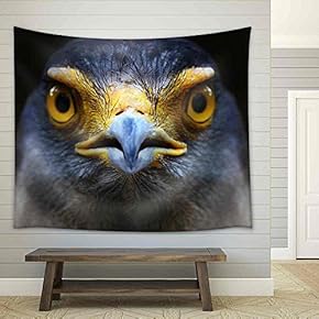 Serpent-Eagle Close-Up Face Spilornis Cheela - Fabric Wall Tapestry Home Decor - 51x60 inches