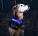 ILLUMISEEN LED Dog Collar USB Rechargeable - Bright & High Visibility Lighted Glow Collar for Pet Night Walking - Weatherproof, in 6 Colors & 6 Sizes (Blue X-Large)