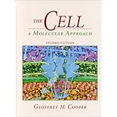 The Cell: A Molecular Approach