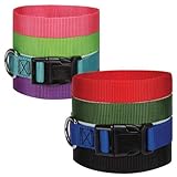 Guardian Gear Nylon Adjustable Dog Collar with Plastic Buckles, 3/4-Inch, Blue