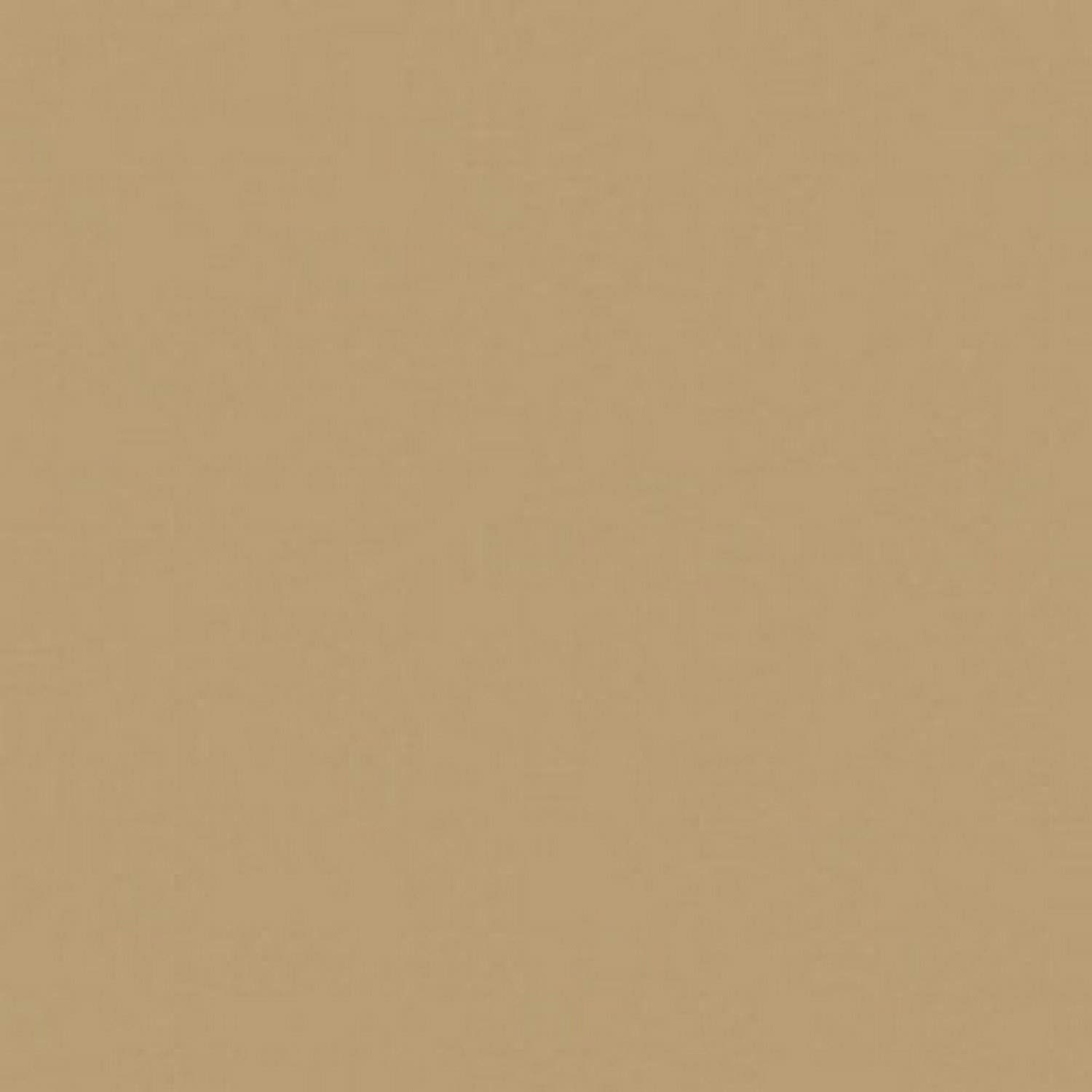 Karen Foster 12 x 12-Inch Cardstock Paper, 25 Sheets, Tawny Light