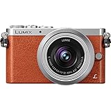 Panasonic DMC-GM1KD 12-32mm Silver Kit Lens 16MP Mirrorless Digital Camera with 3-Inch LCD (Orange)
