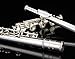 Glory HAND-ENGRAVED SILVER PLATED HIGH GRADE FLUTE 17 Hole OPEN/CLOSED C Flute With Case, Tuning Rod and Cloth,Joint Grease and Gloves,HIGH GRADE HAND ENGRAVED