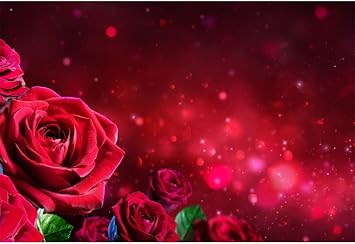 Amazon Com Leowefowa Vinyl 6x4ft Red Rose Flowers Backdrop Bokeh