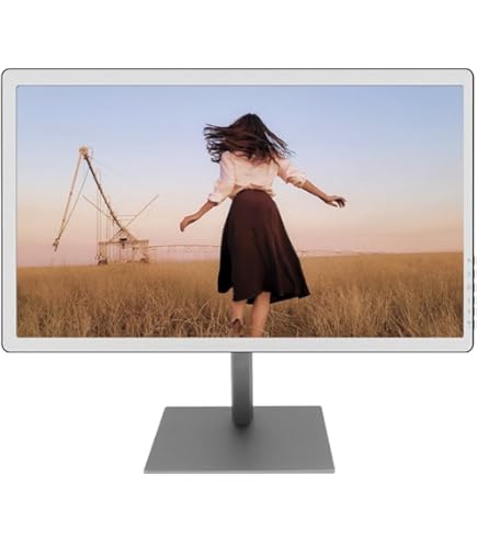 Bigme B13 13.3 Color ePaper モニター B13-- World's First 13.3