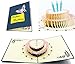 3D Pop Up Greeting Cards 4 Pack Assortment By Aloha Cards | For Birthdays, Thank Yous, All Occasions / Wow Your Loved Ones / Individually Packaged with Envelope and Protective Bag