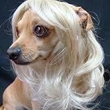 Tangpan Dog Pet High Temperture Wire Wig Color Cream Long