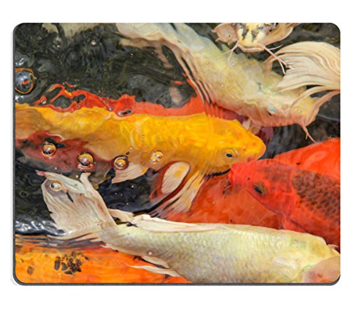 MSD Customized Natural Rubber Mouse Pad Personalized Custom Picture Koi fish swimming in a water pool or stone pond 33152141