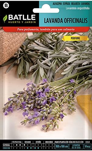 Semillas Aromáticas - Lavanda officinalis - Batlle: Amazon.es: Jardín