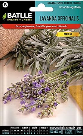 Semillas Aromáticas - Lavanda officinalis - Batlle: Amazon.es: Jardín