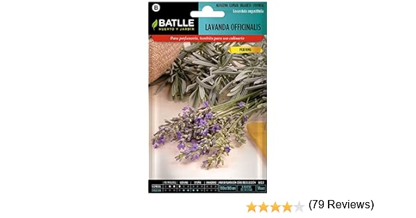 Semillas Aromáticas - Lavanda officinalis - Batlle: Amazon.es: Jardín