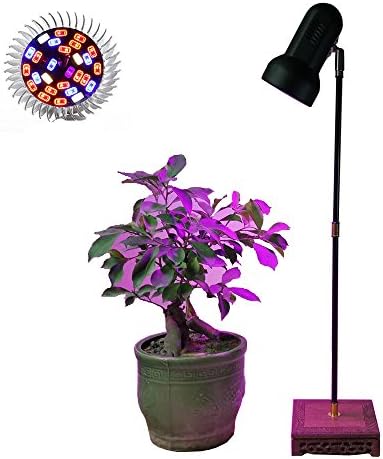 LED Plant Grow Light Stand Desk Lamp System with 40W Full Spectrum Growing Bulb for Home Graden Indoor Plants Veg Flower