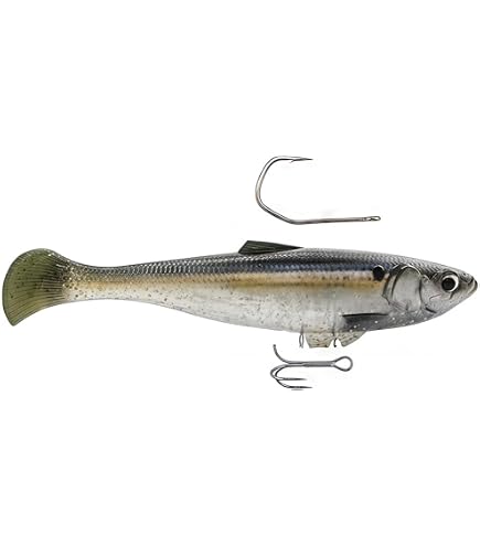 Amazon.com : Z-Man Swag LT 5" Swimbait Threadfin Shad : Sports & Outdoors Amazon.com : Z-Man Swag LT 5" Swimbait Threadfin Shad : Sports & Outdoors