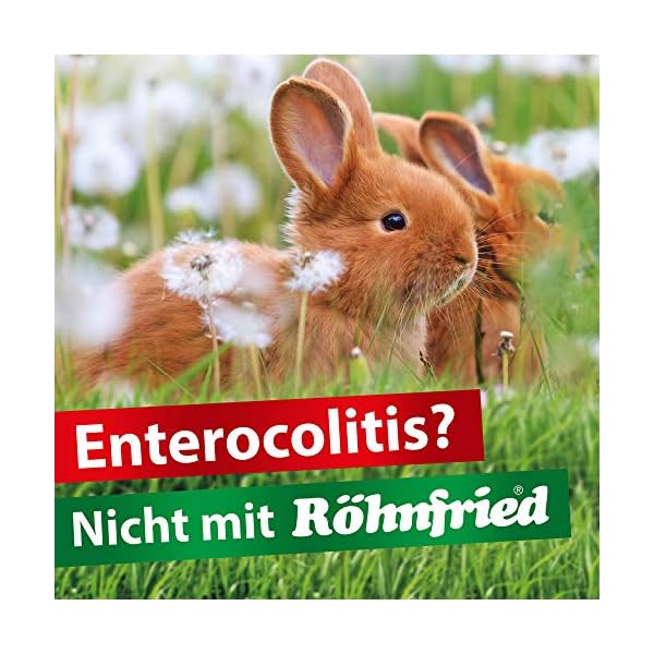 Röhnfried Darmwohl integratore Alimentare (250 ml) per roditori, pollame e Piccoli Animali, digestione favorita e…