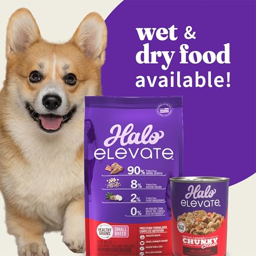 HALO ELEVATE SMALL BREED DOG FOOD, RED MEAT RECIPE, HEALTHY GRAINS DRY DOG FOOD, KIBBLE FOR ADULT DOGS, 3.5 LB BAG