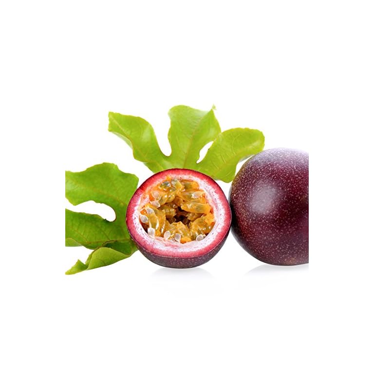 Purple-Possum-Passion-Fruit-Passiflora-edulis-LIVE-PLANT.