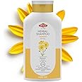 OTACI Herbal Strengthening and Volumizing Shampoo with Arnica, Everyday Use For Weak, Fine, and Flat Hair, Horsetail, Ginseng, Provitamin B5, No Paraben, No Silicon, No Alcohol 13.5 Fl Oz