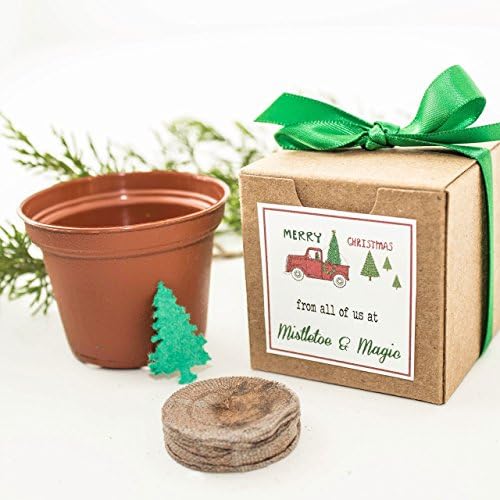 Grow a Christmas Tree Mini Garden Gift Set | Party Favors - Personalized Holiday Gift Idea | Optional DIY Assembly (Set of 12)