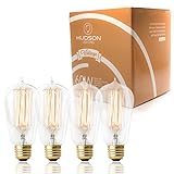 4 Pack - 60 watt Vintage Edison Bulb - Squirrel Cage Filament - 120 volts - Dimmable - 230 Lumens - E26 - ST58 Teardrop Top ()