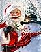 EOBROMD 5D Diamond Painting Kit, Full Drill DIY Embroidery 3D Diamond Painting Wall Sticker for Home Decor - Santa Claus and Snowman 12 x 16inch