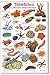 fishcardscom Hawaii: Marine Invertebrates and Shells ID Card
