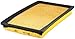 FRAM TGA4309S Tough Guard Air Filter