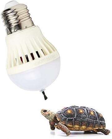 best reptile heat bulb