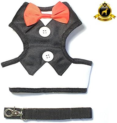 Stepevoli Tuxedo Harness with Matching Leash for Dogs - Comes in G15 Size and Black Colour