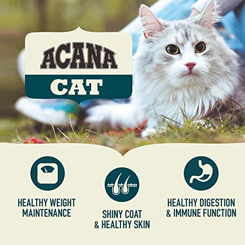 Acana Dry Cat Food, Homestead Harvest, Chicken, Turkey, and Duck