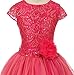 Little Girls Dress Shirring Chiffon V Neck Easter Birthday Flower Girl Dress USA