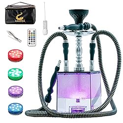 2 Hose Hookah Set with Travel Case Clean