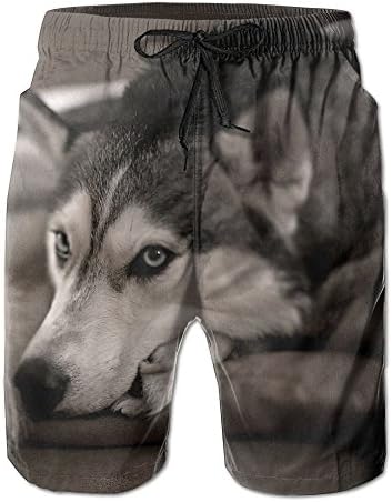 Creative Husky Sleep On Sofa Design Beach Shorts For Man Casual Elastic Waist Pockets Lightweight Beachwear Boardshort XX-Large