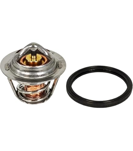 Amazon.com: Disenparts 8973007872 Set Of Engine Coolant