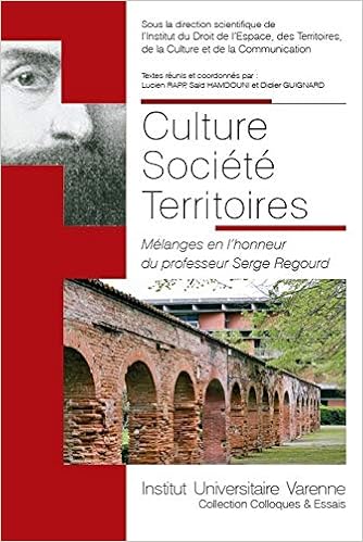 Amazon Fr Culture Societe Territoires Melanges En L Honneur Du Professeur Serge Regourd Collectif Rapp Lucien Hamdouni Said Guignard Didier Livres