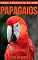 Livro Papagaios: Fotos Incríveis e Factos Divertidos sobre Papagaios para Crianças (Série Lembra-Te De Mim)