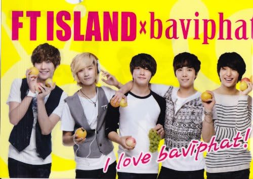Efuti Island / FTISLAND / Baviphat (Babipetto) / Jeong Jae-jin-Hongi Ming fan Seung-Hyun / Baviphat official New clear file made in Korea (japan import)