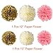 Paxcoo Pink and Gold Party Supplies for Birthday Decorations (Pink and Gold Party Supplies with Birthday Banner)