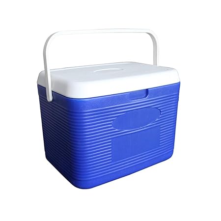 LIYANLCX Mini refrigerador portátil, refrigerador y Calentador ...