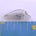 25 Pcs 2.5 Square Bill Unpainted Fishing Hard Lures Crankbaits