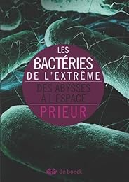 Les  bactéries de l'extrême