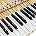 BUZIFU Piano Keyboard Stickers for 37/49/54/61/88 Keys, Transparent Piano Key Stickers Removable Keyboard Note Stickers Colorful Electronic Piano Keyboard Music Notes for Kids Beginners
