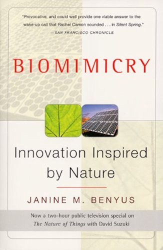 Download Biomimicry: Innovation Inspired by Nature (English Edition) PDF