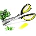 Warmhoming Herb Scissors 5 Stainless Steel Blades - Green Black (Green&Black)