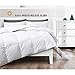 Ubauba All-Season Down Comforter 100% Combed Cotton Hypoallergenic Quilted Feather Comforter with Corner Tabs. Lightweight Goose Down Duvet Insert or Stand-Alone Comforter - Queen/Full 90x90